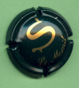 S - Le Mesnil (Salon)