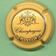 Sanger Avizej